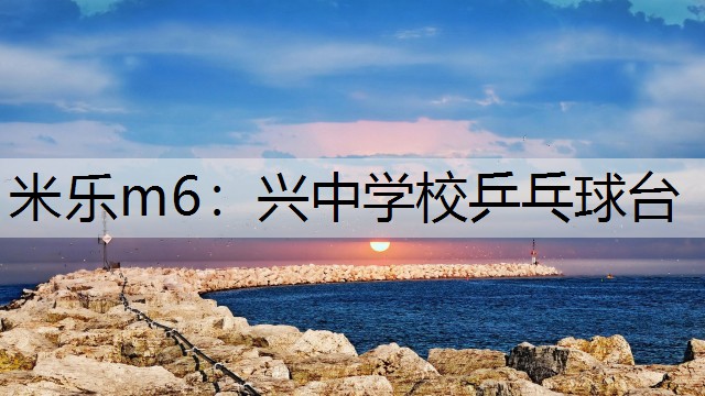 米乐m6：兴中学校乒乓球台