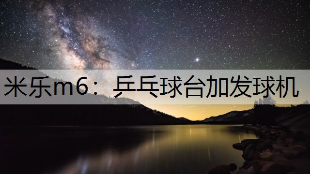 米乐m6：乒乓球台加发球机