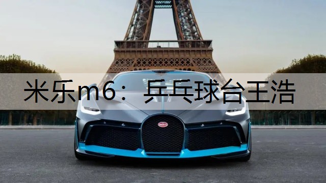 米乐m6：乒乓球台王浩