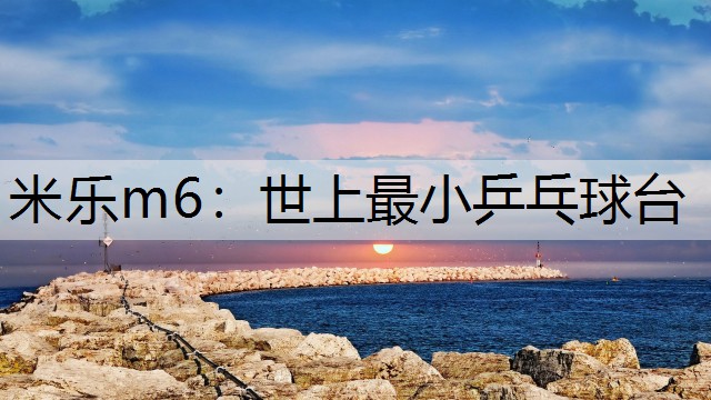 米乐m6：世上最小乒乓球台