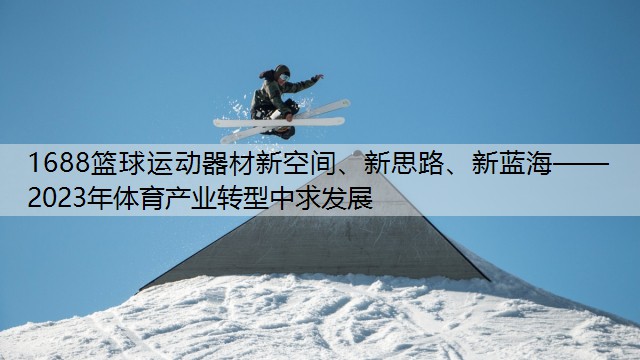 <strong>1688篮球运动器材新空间、新思路、新蓝海——2023年体育产业转型中求发展</strong>