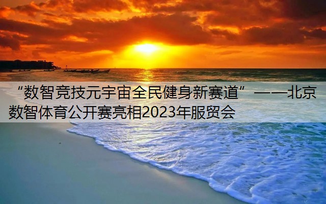 “数智竞技元宇宙全民健身新赛道”——北京数智体育公开赛亮相2023年服贸会