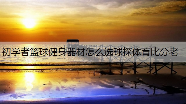 <strong>初学者篮球健身器材怎么选球探体育比分老</strong>