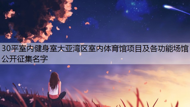 30平室内健身室大亚湾区室内体育馆项目及各功能场馆公开征集名字