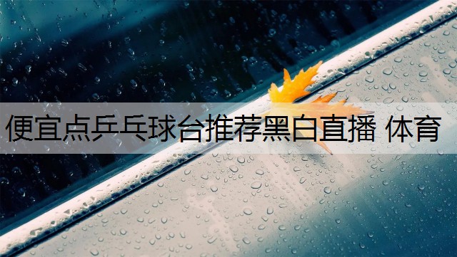 <strong>便宜点乒乓球台推荐黑白直播 体育</strong>