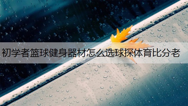 <strong>初学者篮球健身器材怎么选球探体育比分老</strong>