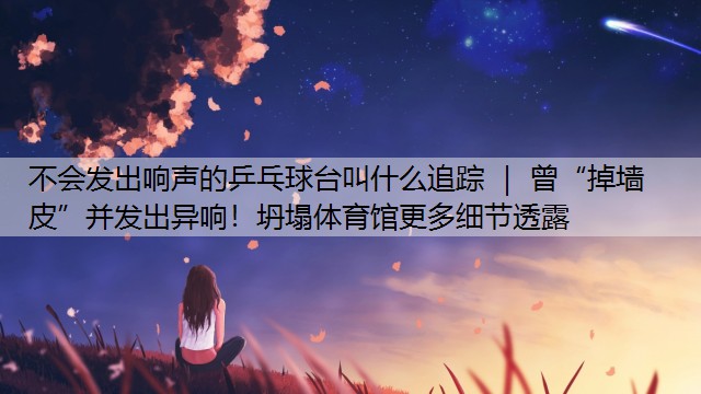 <strong>不会发出响声的乒乓球台叫什么追踪 ｜ 曾“掉墙皮”并发出异响！坍塌体育馆更多细节透露</strong>