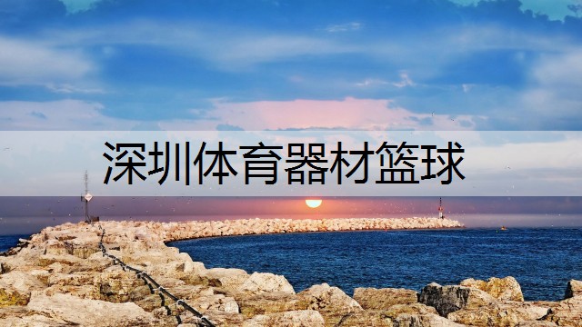 <strong>深圳体育器材篮球</strong>