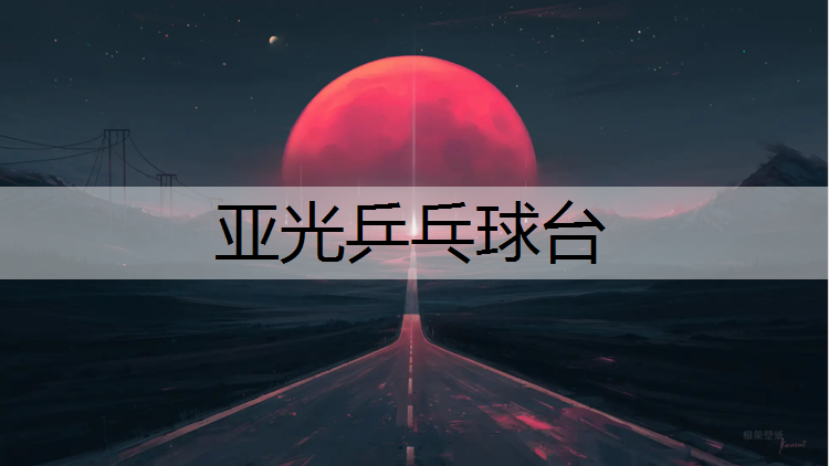 亚光乒乓球台