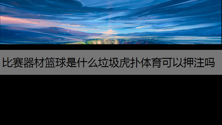 比赛器材篮球是什么垃圾虎扑体育可以押注吗