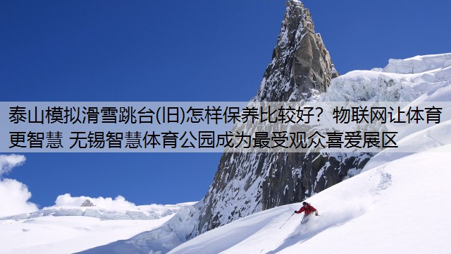 泰山模拟滑雪跳台(旧)怎样保养比较好？物联网让体育更智慧 无锡智慧体育公园成为最受观众喜爱展区